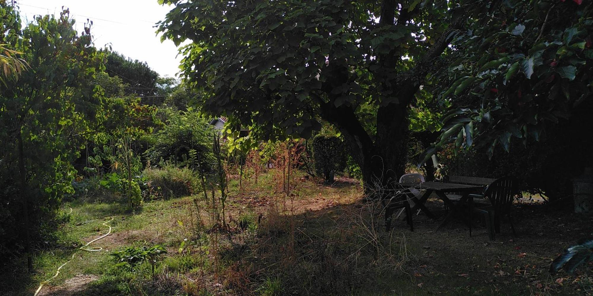 Villa Lulu Mérignac Exteriér fotografie